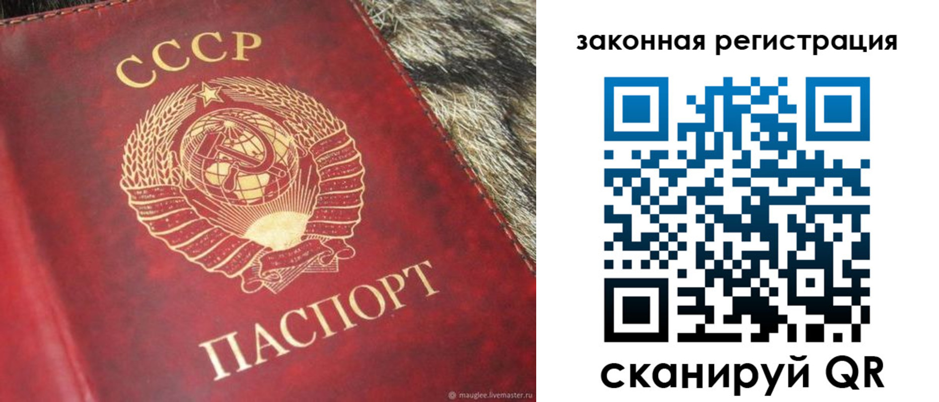 прописка от собственника в Великом Устюге